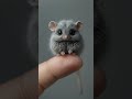 tiny animals