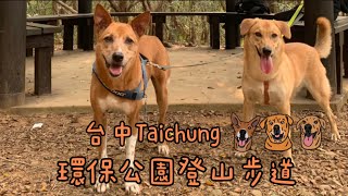 梅啡生火趣｜跟著毛孩扭屁屁｜毛孩登山VLOG｜台中｜大肚山｜環保公園登山步道