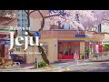 8 Days in Jeju (Day 2) | Cherry Blossom Road, Aewol High School  | Spring Travel Vlog in Jeju