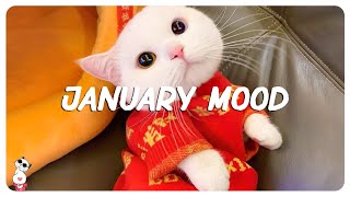 January Mood - Best dance songs playlist - Top English chill mix