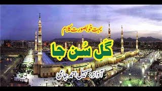 New Naat | Gal Sun Ja | Akhi Chan Madni Nu | By Sohail Ahmad Jaami 03454646046