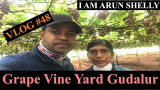 Grape Vine Yard Gudalur Tamil Nadu | വിളവെടുക്കാൻ പാകമായ മുന്തിരിത്തോട്ടം | Vlog #48