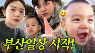 [VLOG] 일주일간의 부산살이 시작! 시트콤 같은 가족 일상😆
