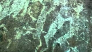 Tours-TV.com: Belomorsk petroglyphs, Vygostrov