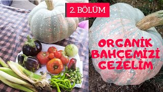 En doğal bahçeyi hiç gördün mü? Organik bahçemizi gezelim. healty life