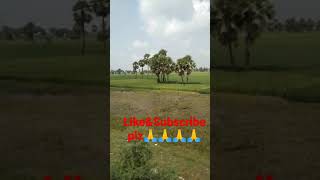 Travelling with train via kiul to Nawadah🚂🚃🚃🚃 ||travellbytrain ||trainstatus ||indianrainways 💓🥀🥀🚂🚃🚃