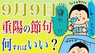 9月9日、重陽の節句は何をするといい？/100日マラソン続〜1237日目〜