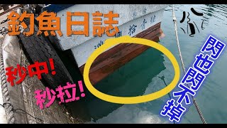 【夯魚癡】船下滿滿都是，秒中!秒拉!吸引路人來詢問，歡樂釣魚場(台湾の釣り 、 Fishing in Taiwan)