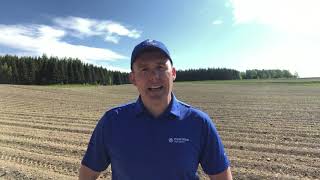 Using Prism™ SG for Post-Emergent Weed Control in Potatoes | Corteva Agriscience Canada