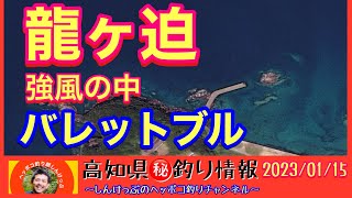 【高知県㊙️釣り情報】強風にはバレットブル！（笑）