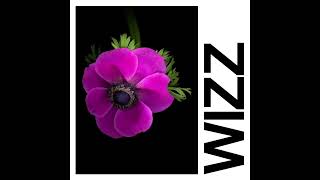 IDLES - WIZZ (Official Audio)