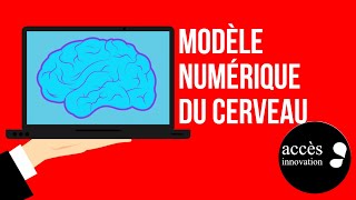 Accès Innovation #16 - Modèle numérique du cerveau