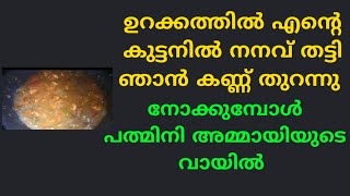 Chemmen curry|പത്മിനി|kambi