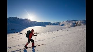 Topptur på Vikafjellet