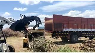 சீமை கருவேலம் மரம் முழுவதும் நீக்கும் காட்சி || Removing Prosopis juliflora Tree by modern machine