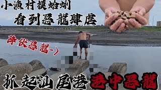 摸蛤蜊遇到海中惡龍！超大惡龍肆虐漁港生態！！###車中泊 #趕海 ##車宿 #野外做饭