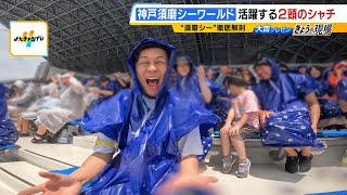 夏休みの注目スポット『神戸須磨シーワールド』　「シャチ」のパフォーマンスやスマスイ時代の名物魚「ピラルク」など...須磨っ子大吉アナが徹底解剖（2024年7月12日）