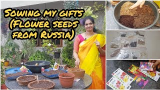 Winter flower seeds sowing/పూల విత్తనాలు పెట్టే పద్ధతి  #winterflowers  #flowerseeds #gardening