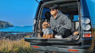 Best Car Camping in Island with My Dog . Korea's Jeju Island . The Sound of Waves ASMR