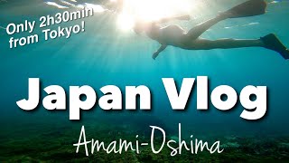 【Japan Vlog】Island Travel Guide | Easy Access from Tokyo | Amami-Oshima