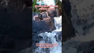 ඔට්ටුයි කවුරුත් දන්නෑ මේ තැන.😂😂😂😂 #onthisday #waterfall #travel #comedy #funny #nature