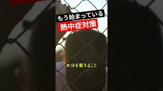 みんな知らない熱中症対策#野球 #高校野球 #甲子園 #shorts #熱中症