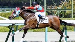 2歳新馬　芝右外1600m　エイムインライフ　牝2　54　浜中俊　2022.10.15　　出走馬：ダノンバビル、カネフラ、ナムラエルカス、エンペラーワケア、タツダイヤモンド、デューデット、ローツェ他