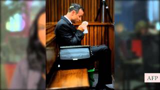 Summary of Gerrie Nel's cross-examination of Oscar Pistorius