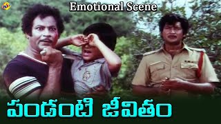 ఈ రోజు ఉదయం ఏమి చేసావ్! | Pandanti Jeevitham Movie Emotional Scene | Sobhan Babu | TVNXT Telugu