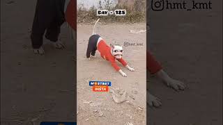 Ram Ram Sariya ne dog 🐶 funny 🤣 video #shorts