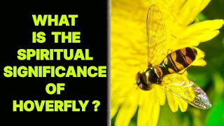 WHAT IS THE SPIRITUAL SIGNIFICANCE OF HOVERFLY INSECT ?
