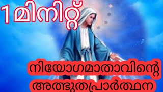 3ദിവസം കൊണ്ട് നിയോഗ  മാതാവ് നിങ്ങളുടെ ഉദ്ധിഷ്ട്ട കാര്യം സാധിച്ചുതന്നിരിക്കും