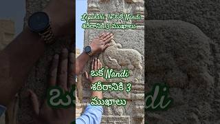 ఒక Nandi శరీరానికి 3 ముఖాలు #lepakshi #vibewithprashanth #travelindia