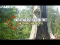 1,000 YEAR OLD HOLLOW TREE - STANLEY PARK - VANCOUVER B.C.