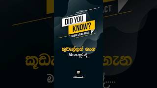 වෘෂණ කෝෂ 09ක් ?..කූඩැල්ලන් ගැන ඔබ නොදත් දේවල් ටිකක් #shorts #sinhala #education