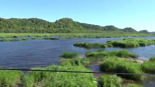 しげっちさん JR北海道根室本線(花咲線)別寒牛湿原車窓