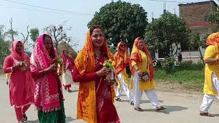 रुपन्देहीको तिलोत्तमा  ८ धामको  बिराट महायज्ञको  कलश यात्राको एक झलक ।