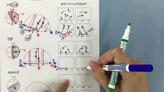 普一甲乙線上課程-周日運動