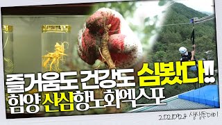 즐거움도 건강도 심봤다!! 함양 산삼항노화엑스포 | 생생투데이 사람과 세상, (KBS 2021.09.28, 화 방송)