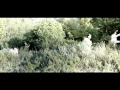 Jaumet- Les coses diferents