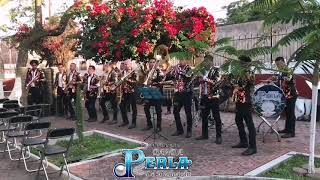 Banda Perla de Michoacán - Vuela Paloma