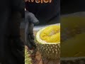 UNBOXING DURIAN MUSANG KING FROM MALAYSIA #durian #musangking #masduren