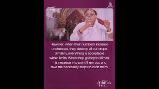 From Amma's Heart S3 E36 Highlights: Perception and Reality: How We Assign Value