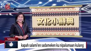 油菜花煮食味佳 亦可做有機綠肥 2018-01-06 Sakizaya TITV 原視族語新聞