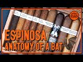 ANATOMY OF A BAT | Espinosa Murcielago