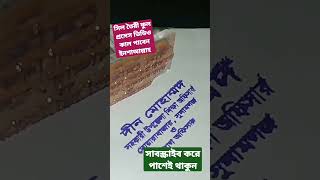 সিল কিভাবে বানাবেন আগামীকাল ফুল ভিডিও পাবেন বন্ধুরা পাশেই থাকুন