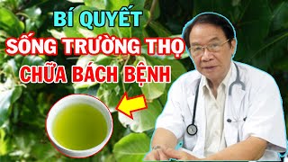 Lấy 1 Nắm Lá Bàng Đun Nước Lên Uống Khỏi Ngay 11 Bệnh, Cả Triệu Người Phải Làm Theo