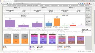 PeopleInsight Workforce Analytics 5 Minute Demo