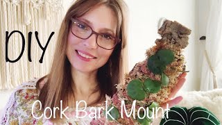 DIY Mounting Epiphytic Plants on Cork Bark