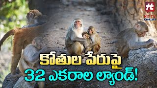 వానరాలకు సొంత భూమి..  32 ఎకరాలు వాటి పేరునే! | Monkeys Own Land | Hit TV Telugu News